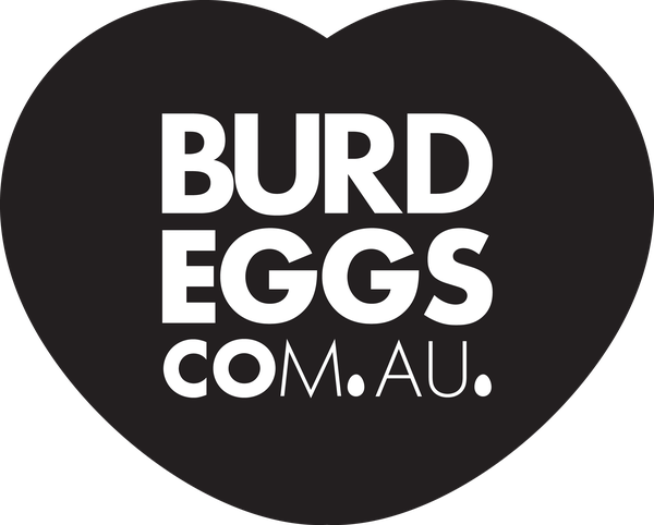 Burd Eggs